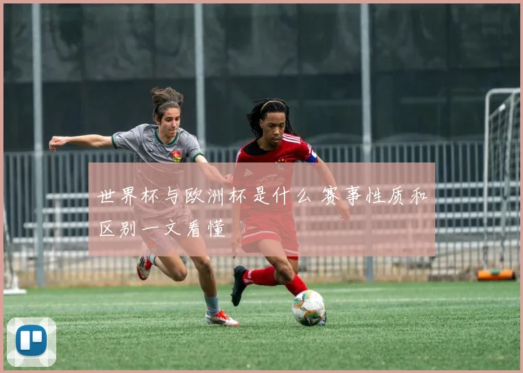 世界杯与欧洲杯是什么 赛事性质和区别一文看懂