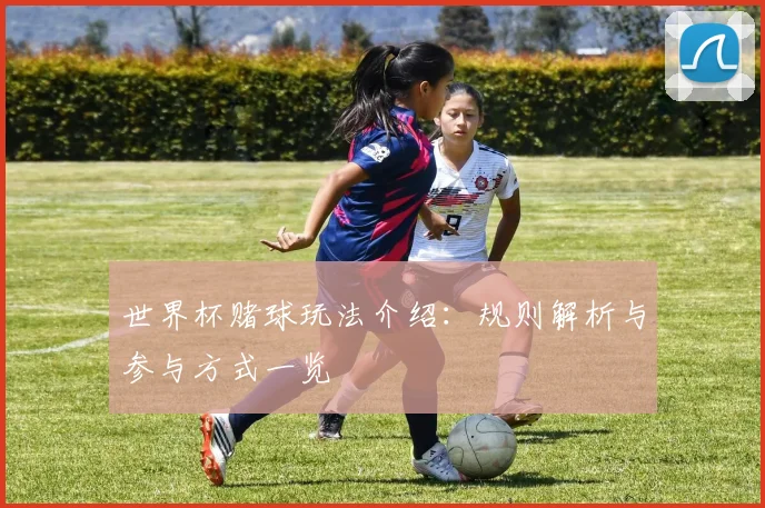 世界杯赌球玩法介绍：规则解析与参与方式一览