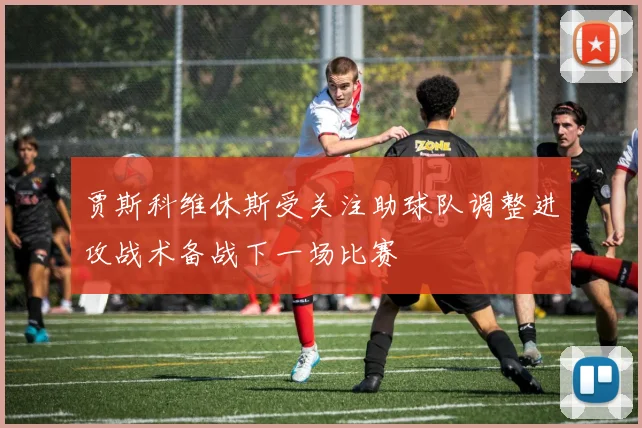 贾斯科维休斯受关注助球队调整进攻战术备战下一场比赛