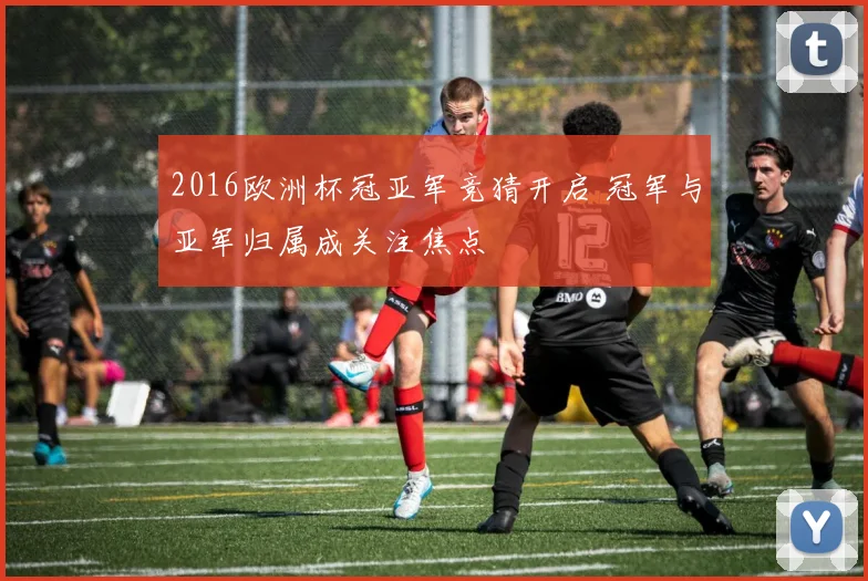 2016欧洲杯冠亚军竞猜开启 冠军与亚军归属成关注焦点