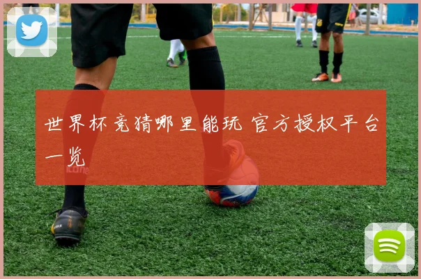 世界杯竞猜哪里能玩 官方授权平台一览