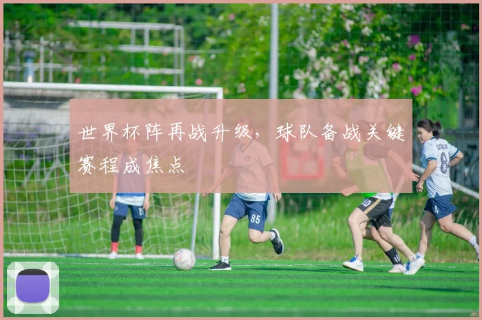世界杯阵再战升级，球队备战关键赛程成焦点