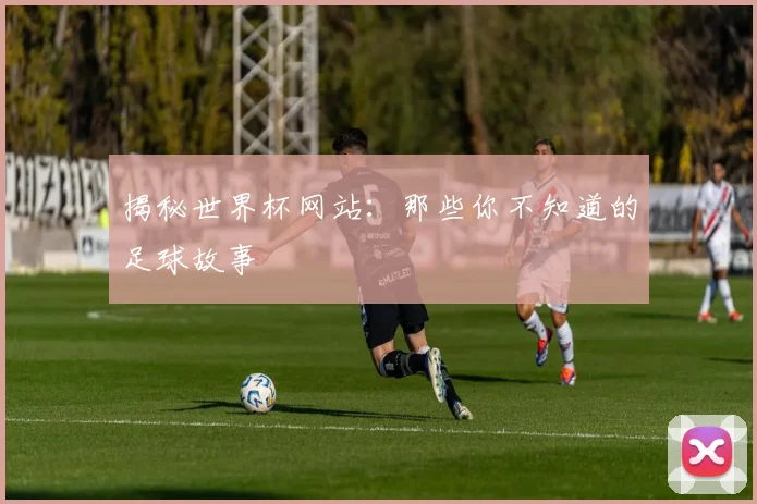 揭秘世界杯网站：那些你不知道的足球故事